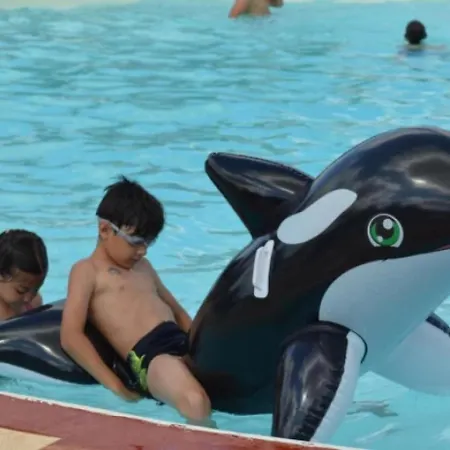 Camping Chalet 3 Etoiles - Piscine - Eeebae *